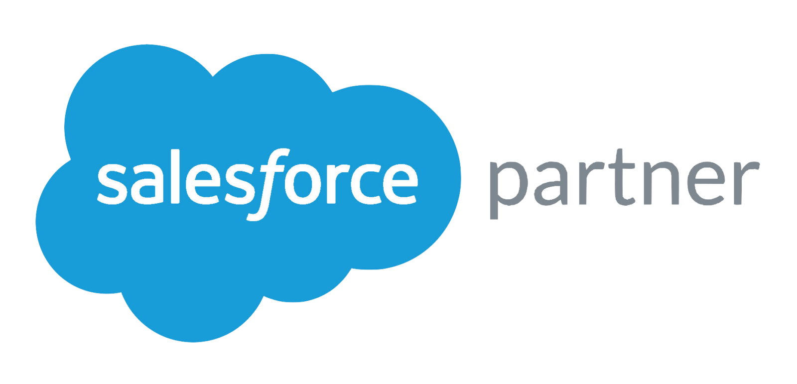 Salesforce partner